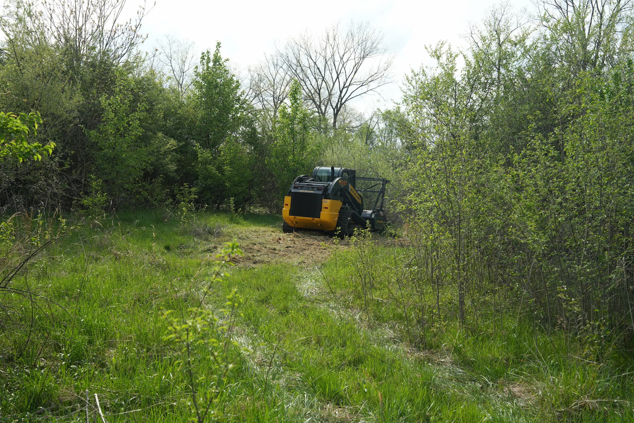 Professional land clearing equipment Dayton Ohio