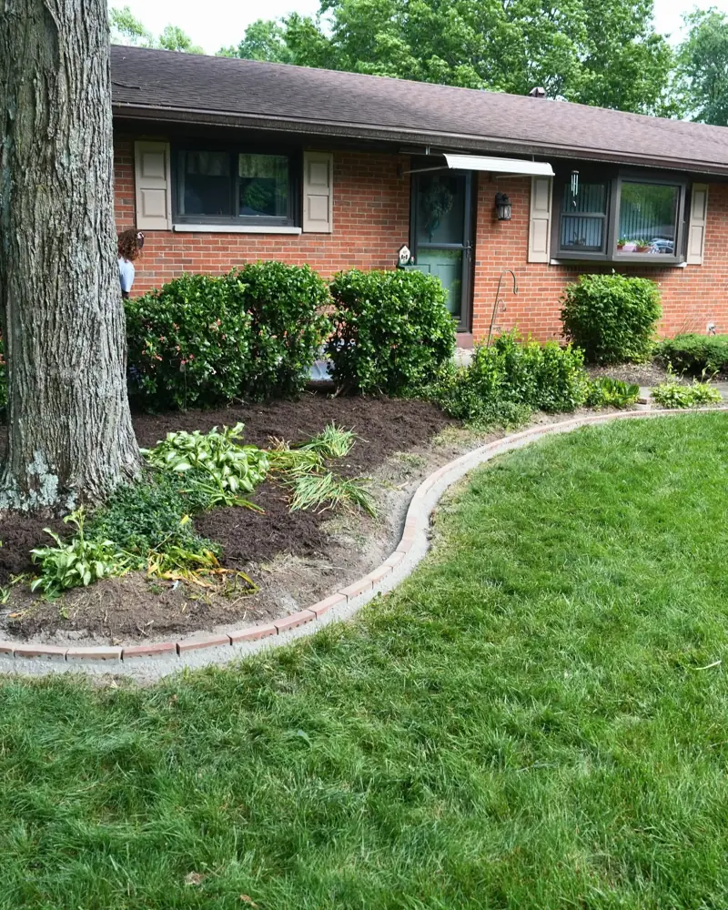 Finished brick bed edging and trimmed shrubs in a Dayton, OH front yard