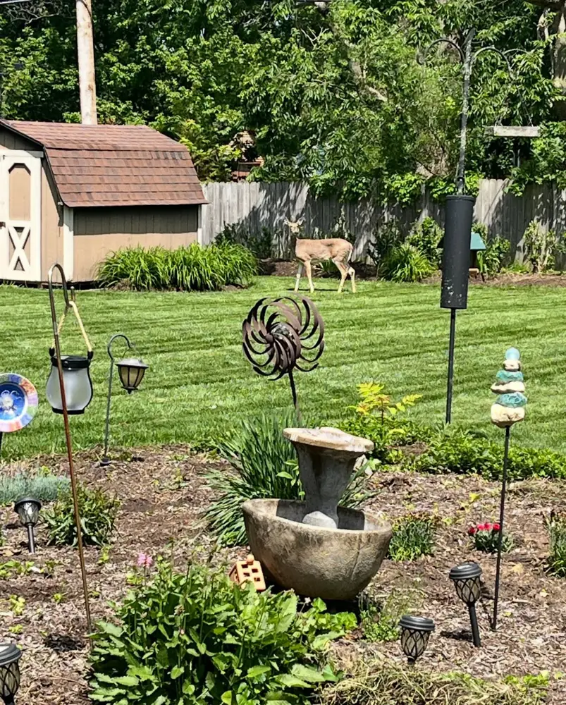 Decorative fountain install in a mulched garden bed in Dayton, OH