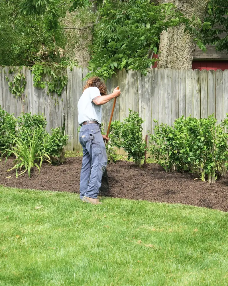 Fresh mulch installation along a shrub bed and fence line in Dayton, OH